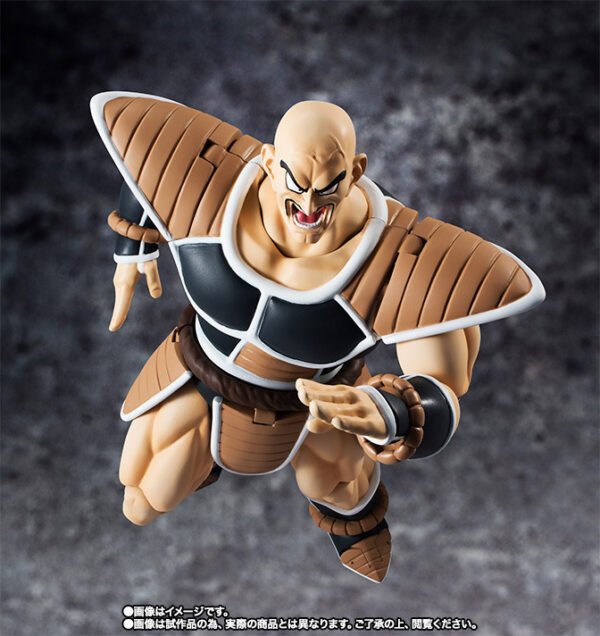 Nappa LE