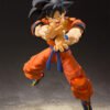 Goku ROE (A Saiyan Raised on Earth)