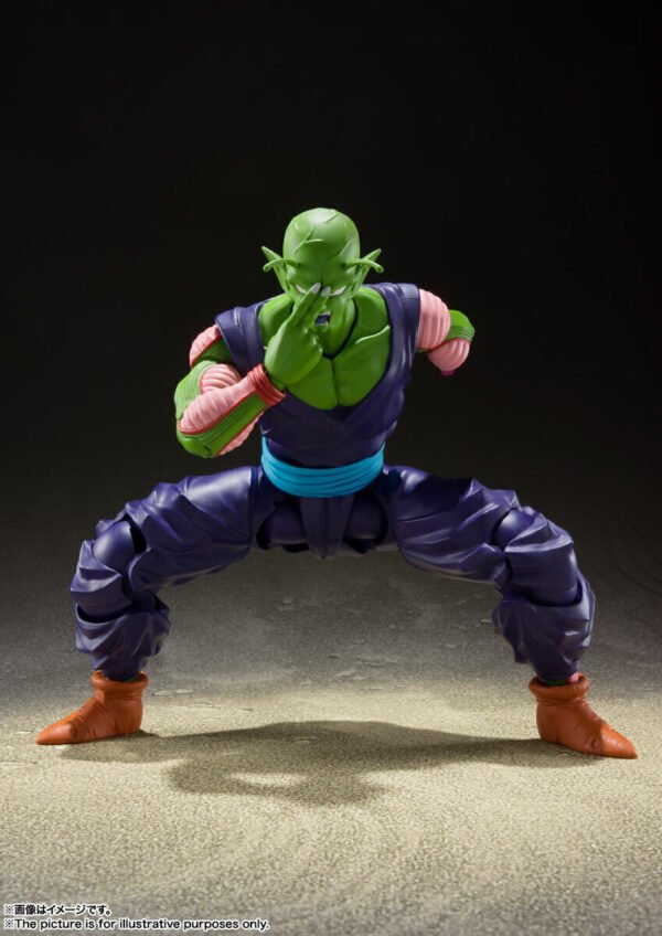 Piccolo Proud Namekian