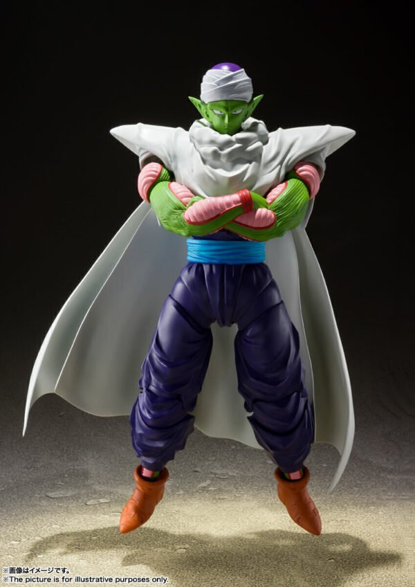 Piccolo Proud Namekian