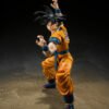 Super Hero Goku - Image 3