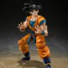 Super Hero Goku - Image 5