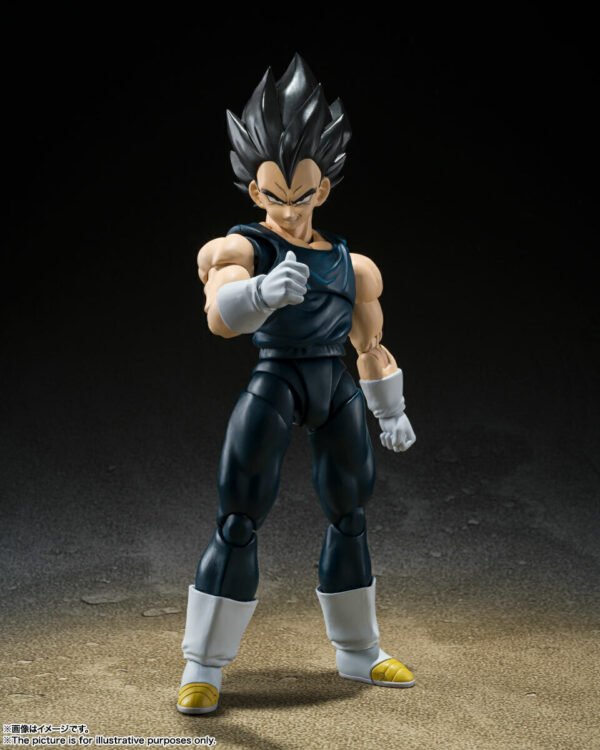 Super Hero Vegeta