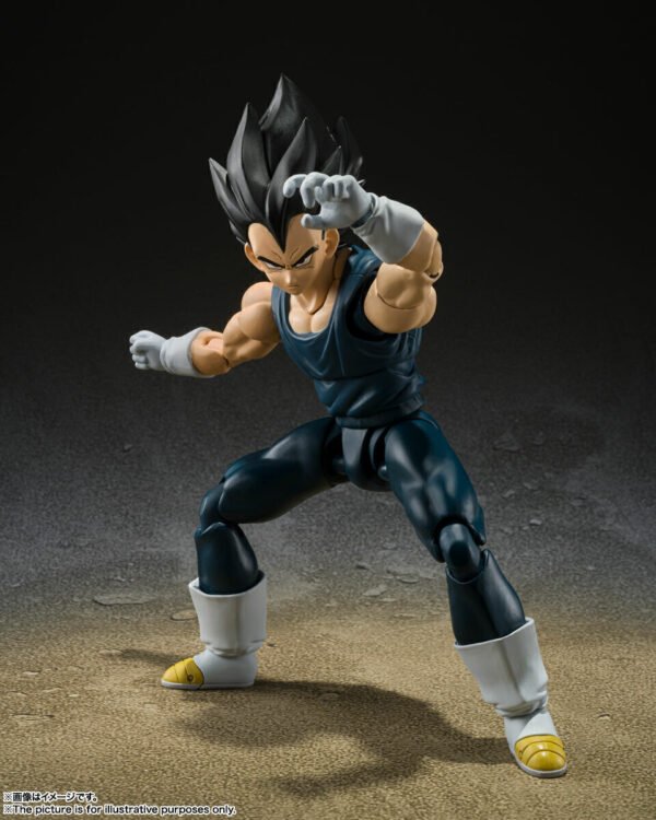 Super Hero Vegeta