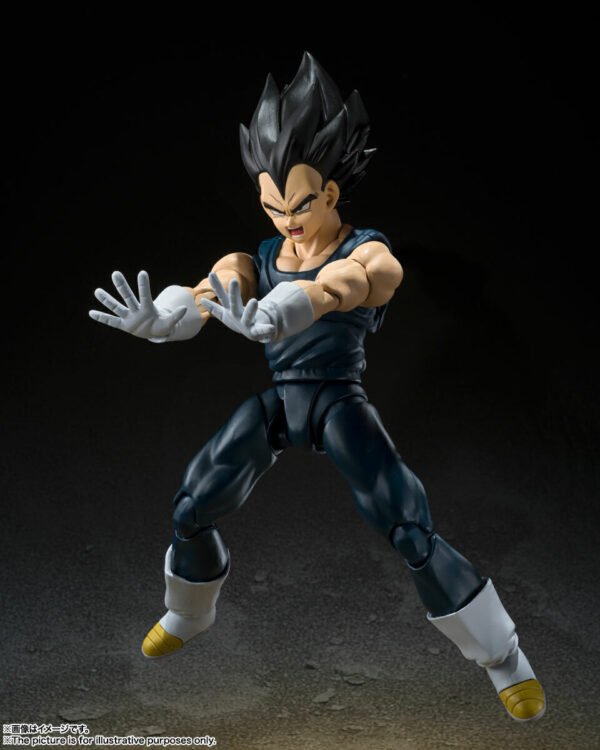 Super Hero Vegeta