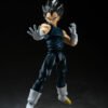 Super Hero Vegeta - Image 6