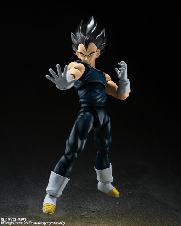 Super Hero Vegeta