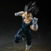 Super Hero Vegeta - Image 7