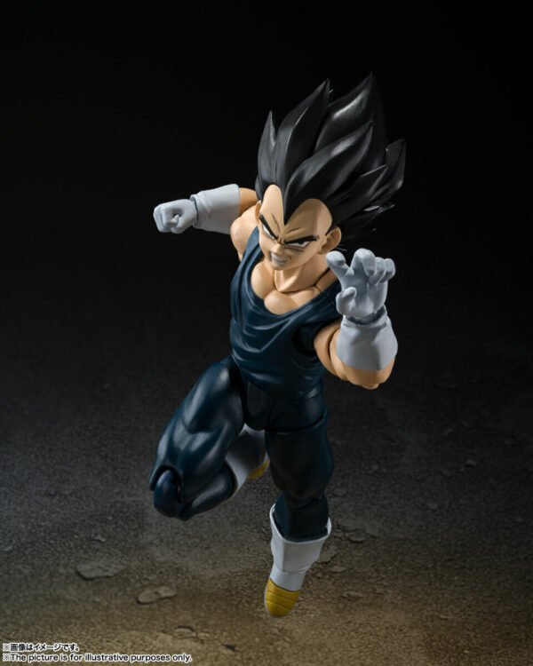 Super Hero Vegeta