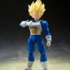 Vegeta SSJ Awakening Super Saiyan Blood