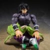 Super Hero Broly - Image 5