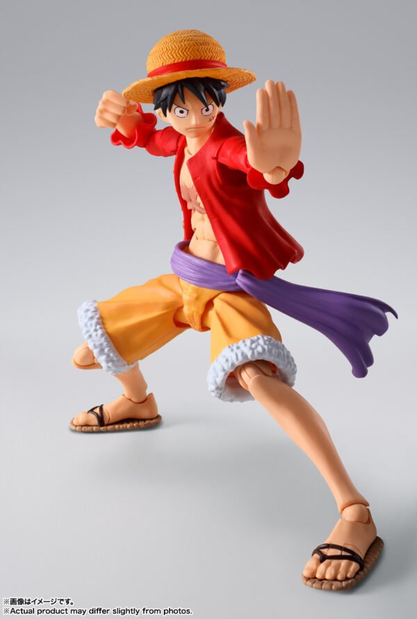 Monkey D. Luffy Onigashima Ver.