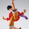 Monkey D. Luffy Onigashima Ver.