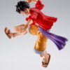 Monkey D. Luffy Onigashima Ver.