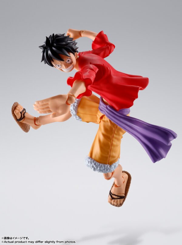 Monkey D. Luffy Onigashima Ver.