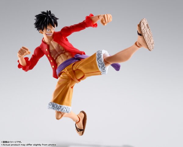 Monkey D. Luffy Onigashima Ver.