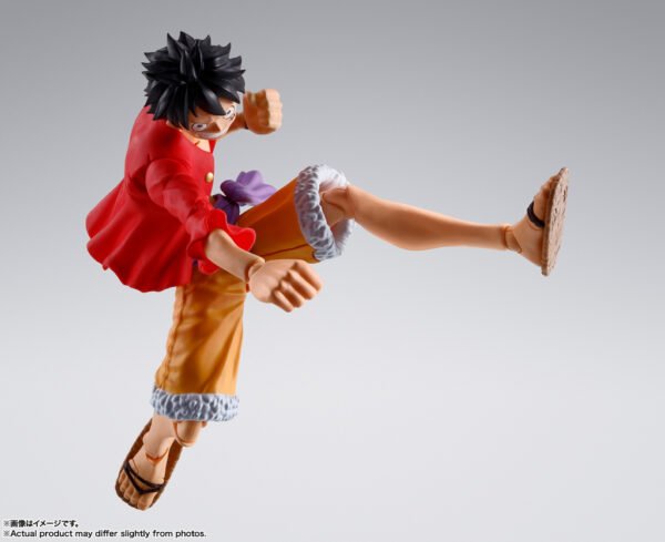 Monkey D. Luffy Onigashima Ver.