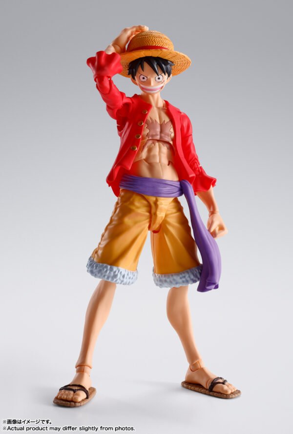 Monkey D. Luffy Onigashima Ver.