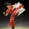 Goku's Effect Parts Set