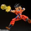 Goku's Effect Parts Set