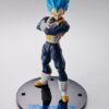 Vegeta SSGSS (S.H.Figuarts 15th anniversary)