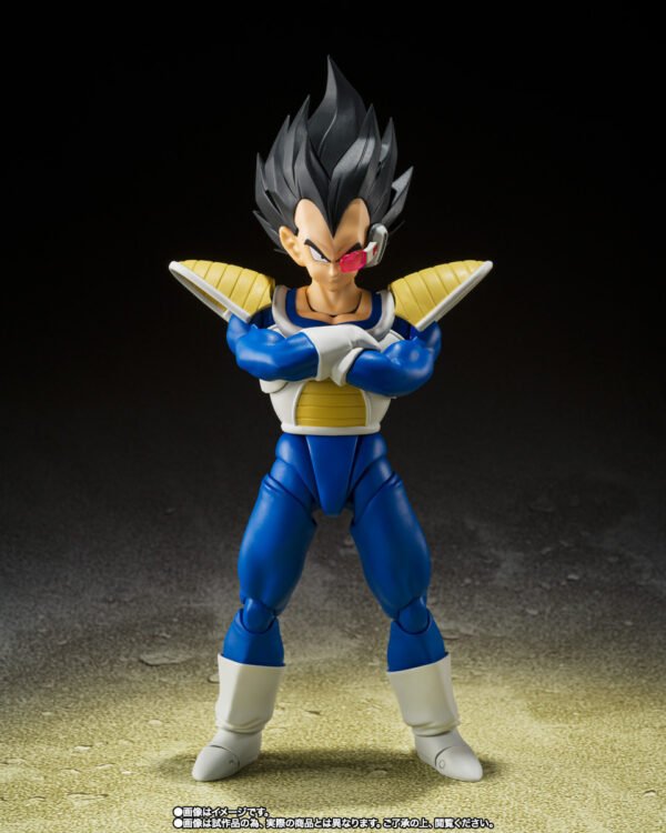 Vegeta 24.000 POWER LEVEL