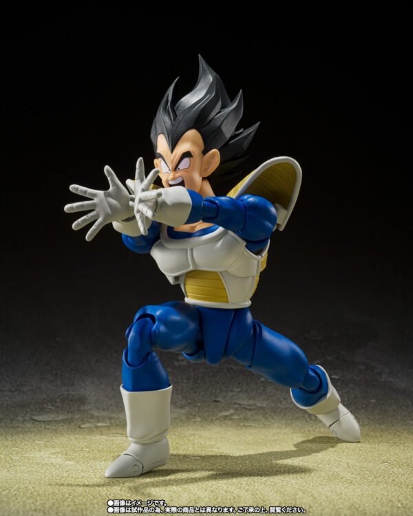 Vegeta 24.000 POWER LEVEL