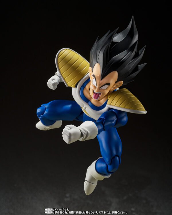 Vegeta 24.000 POWER LEVEL