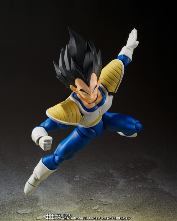 Vegeta 24.000 POWER LEVEL