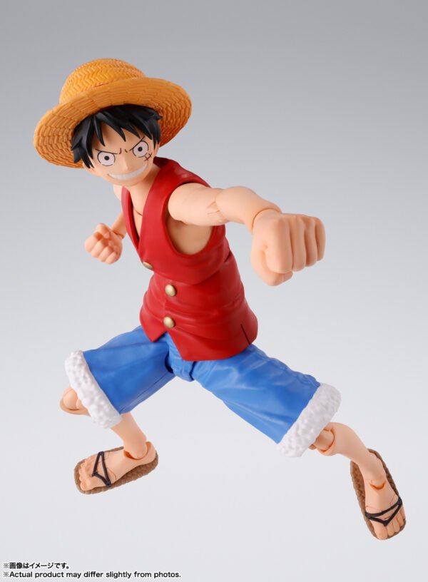 Luffy Romance Dawn Ver.