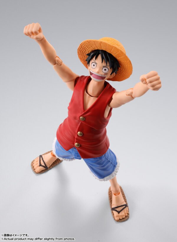 Luffy Romance Dawn Ver.