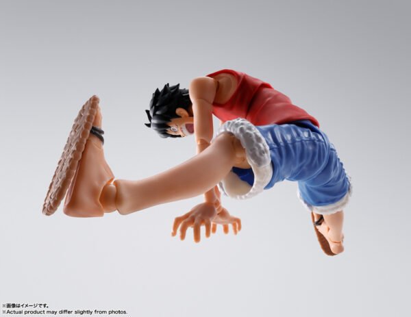 Luffy Romance Dawn Ver.