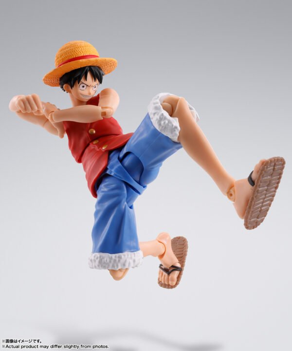 Luffy Romance Dawn Ver.