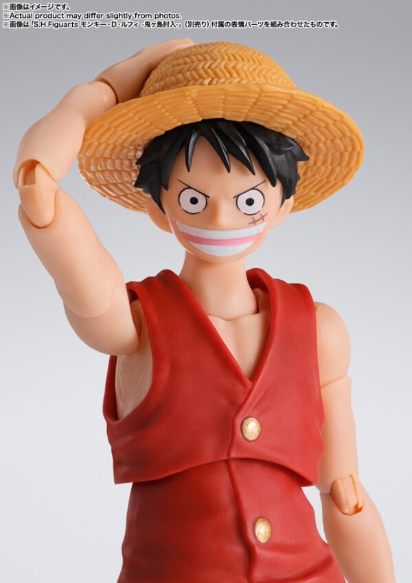 Luffy Romance Dawn Ver.