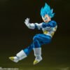 Vegeta SSGSS (Unwavering Saiyan Pride) - Image 7